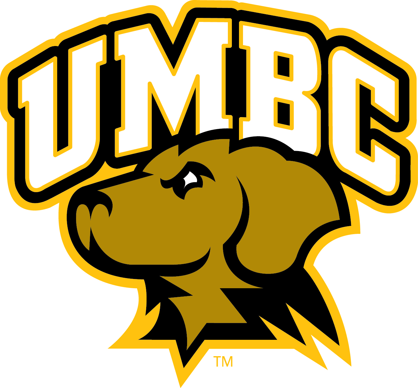 UMBC Website